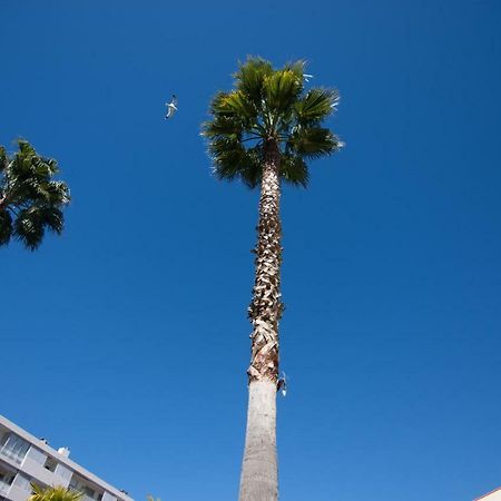 Apartamento Le Parc Pointe Croisette Cannes Exterior foto